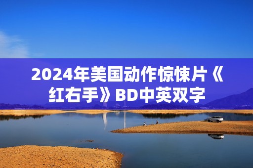 2024年美国动作惊悚片《红右手》BD中英双字