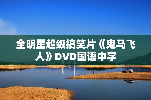 全明星超级搞笑片《鬼马飞人》DVD国语中字