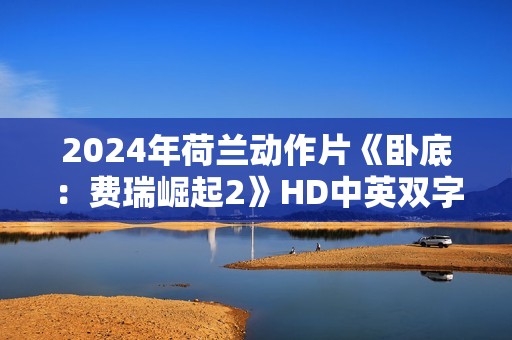 2024年荷兰动作片《卧底：费瑞崛起2》HD中英双字
