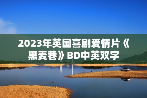 2023年英国喜剧爱情片《黑麦巷》BD中英双字