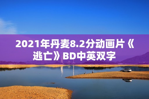 2021年丹麦8.2分动画片《逃亡》BD中英双字
