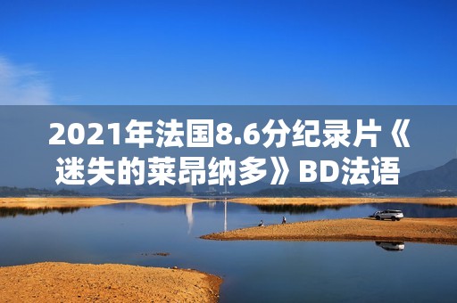2021年法国8.6分纪录片《迷失的莱昂纳多》BD法语中字