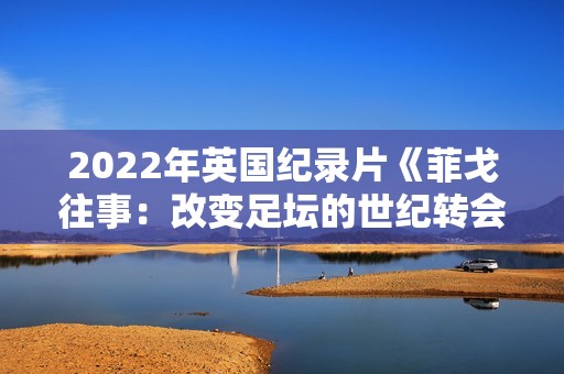 2022年英国纪录片《菲戈往事：改变足坛的世纪转会》BD中字