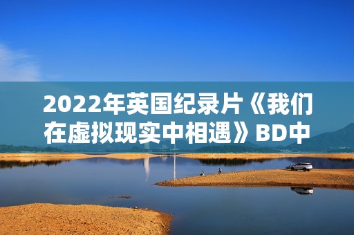 2022年英国纪录片《我们在虚拟现实中相遇》BD中英双字