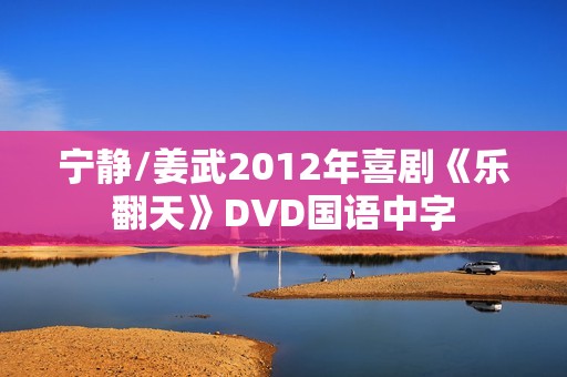 宁静/姜武2012年喜剧《乐翻天》DVD国语中字