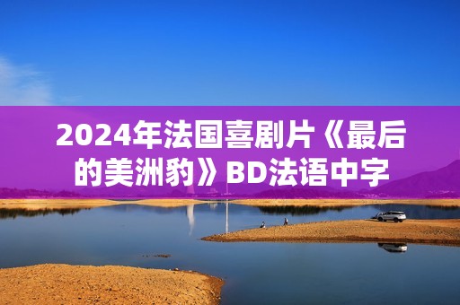 2024年法国喜剧片《最后的美洲豹》BD法语中字