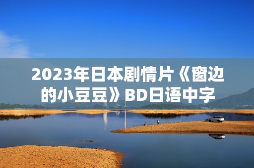 2023年日本剧情片《窗边的小豆豆》BD日语中字