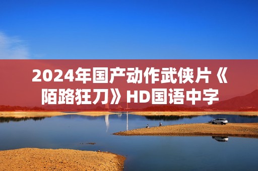 2024年国产动作武侠片《陌路狂刀》HD国语中字