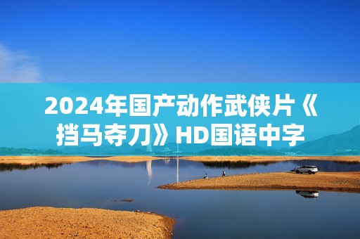 2024年国产动作武侠片《挡马夺刀》HD国语中字