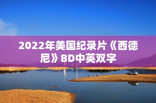 2022年美国纪录片《西德尼》BD中英双字