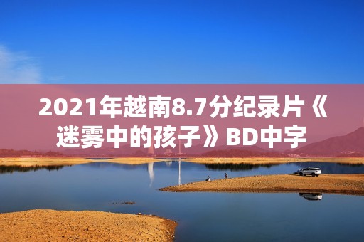 2021年越南8.7分纪录片《迷雾中的孩子》BD中字