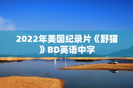 2022年美国纪录片《野猫》BD英语中字