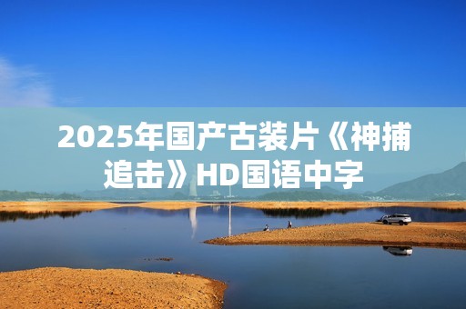 2025年国产古装片《神捕追击》HD国语中字