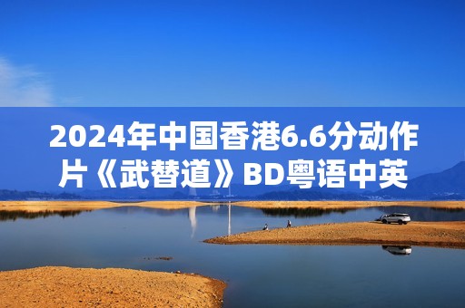2024年中国香港6.6分动作片《武替道》BD粤语中英双字