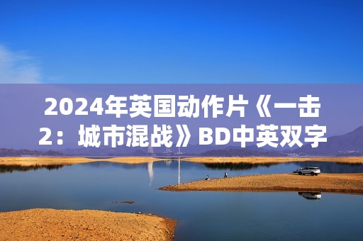 2024年英国动作片《一击2：城市混战》BD中英双字