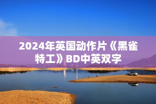 2024年英国动作片《黑雀特工》BD中英双字