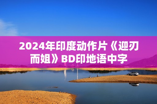 2024年印度动作片《迎刃而姐》BD印地语中字