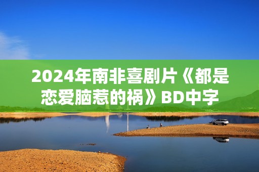 2024年南非喜剧片《都是恋爱脑惹的祸》BD中字