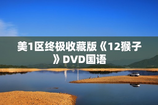 美1区终极收藏版《12猴子》DVD国语