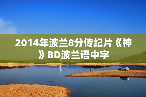 2014年波兰8分传纪片《神》BD波兰语中字