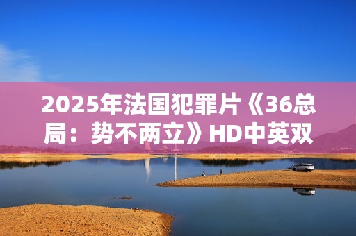 2025年法国犯罪片《36总局：势不两立》HD中英双字