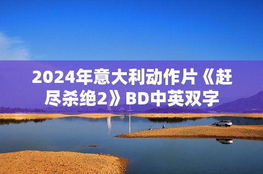 2024年意大利动作片《赶尽杀绝2》BD中英双字