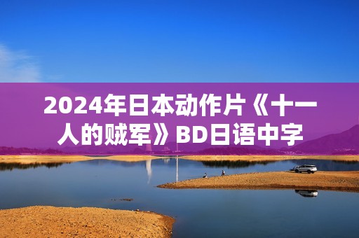 2024年日本动作片《十一人的贼军》BD日语中字