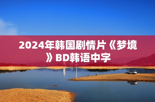 2024年韩国剧情片《梦境》BD韩语中字