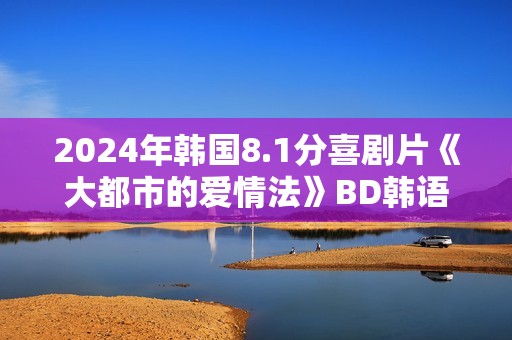 2024年韩国8.1分喜剧片《大都市的爱情法》BD韩语中字