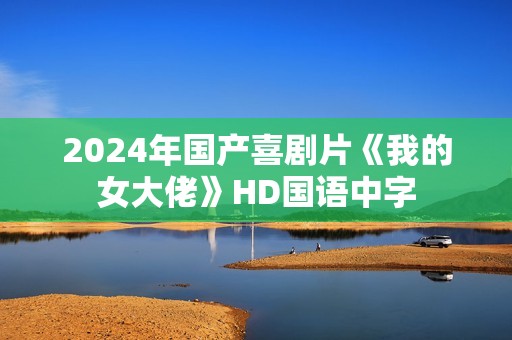 2024年国产喜剧片《我的女大佬》HD国语中字