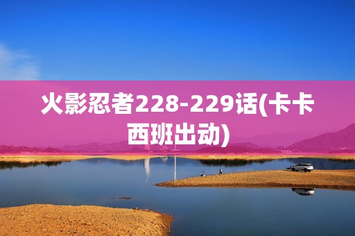 火影忍者228-229话(卡卡西班出动)