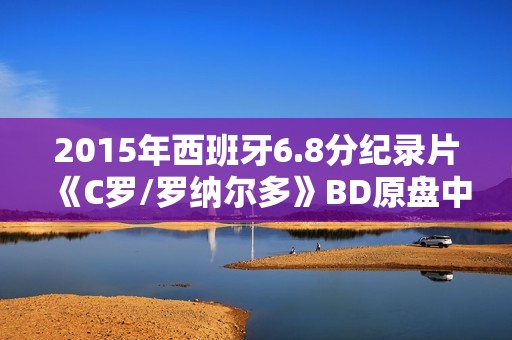 2015年西班牙6.8分纪录片《C罗/罗纳尔多》BD原盘中字