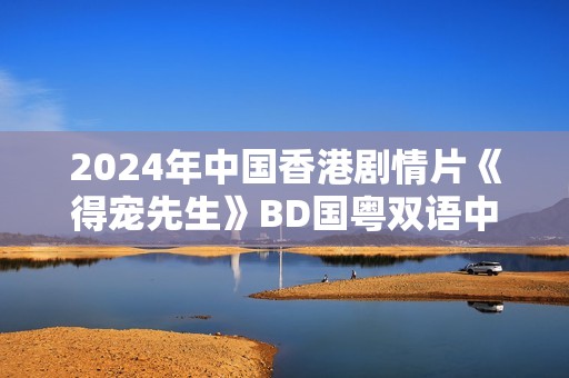 2024年中国香港剧情片《得宠先生》BD国粤双语中字
