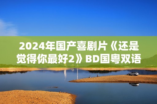 2024年国产喜剧片《还是觉得你最好2》BD国粤双语中字