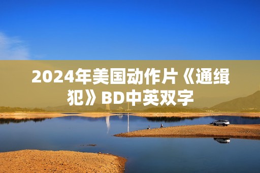 2024年美国动作片《通缉犯》BD中英双字