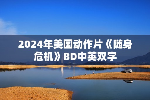 2024年美国动作片《随身危机》BD中英双字