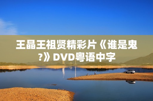 王晶王祖贤精彩片《谁是鬼?》DVD粤语中字