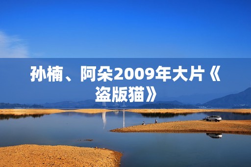 孙楠、阿朵2009年大片《盗版猫》