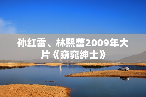 孙红雷、林熙蕾2009年大片《窈窕绅士》