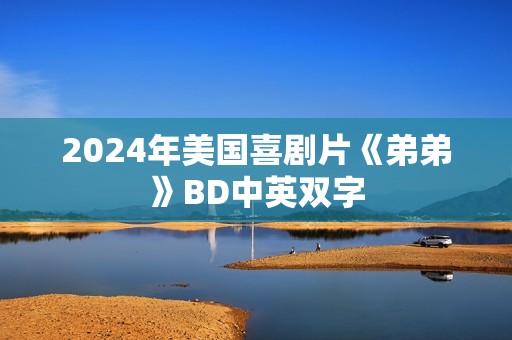 2024年美国喜剧片《弟弟》BD中英双字 2024年美国喜剧片《弟弟》BD中英双字