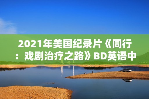2021年美国纪录片《同行：戏剧治疗之路》BD英语中字