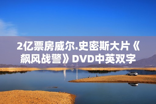 2亿票房威尔.史密斯大片《飙风战警》DVD中英双字