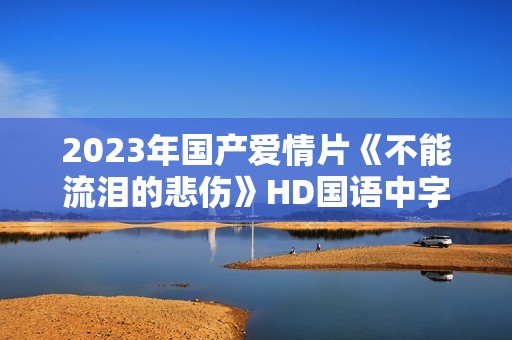2023年国产爱情片《不能流泪的悲伤》HD国语中字