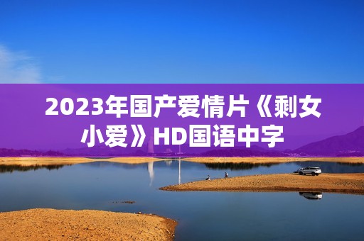 2023年国产爱情片《剩女小爱》HD国语中字