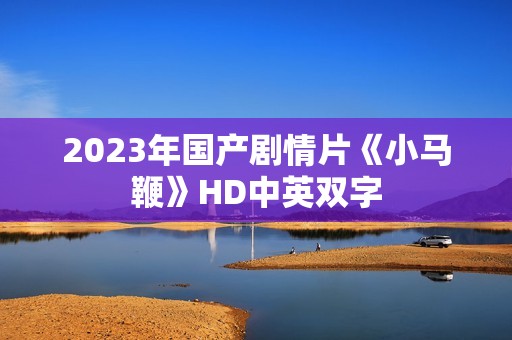 2023年国产剧情片《小马鞭》HD中英双字
