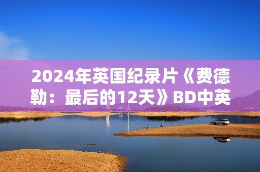 2024年英国纪录片《费德勒：最后的12天》BD中英双字