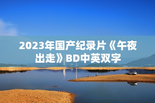 2023年国产纪录片《午夜出走》BD中英双字