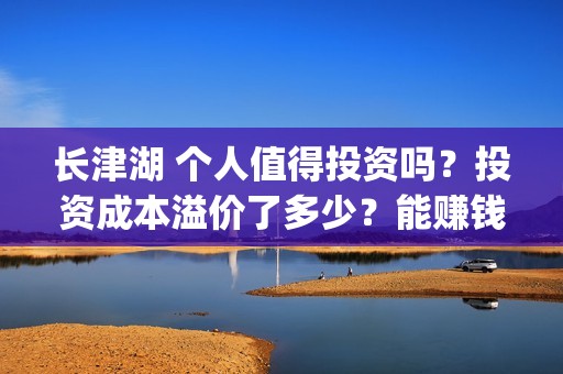 长津湖 个人值得投资吗？投资成本溢价了多少？能赚钱吗？(长津湖p)