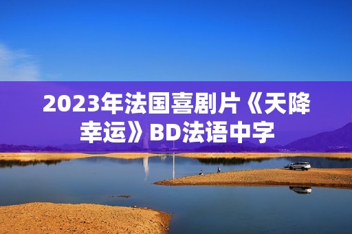 2023年法国喜剧片《天降幸运》BD法语中字