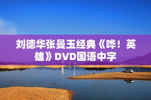 刘德华张曼玉经典《哗！英雄》DVD国语中字